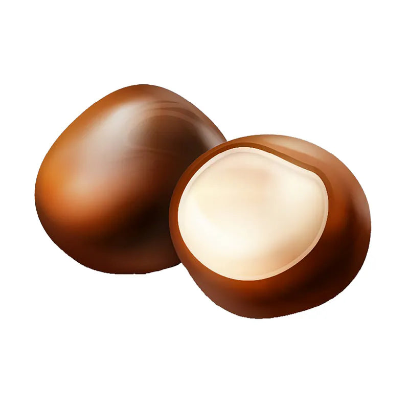 健盈萊 祛濕健脾無糖草本雙層軟糖  (紅豆椰香味)